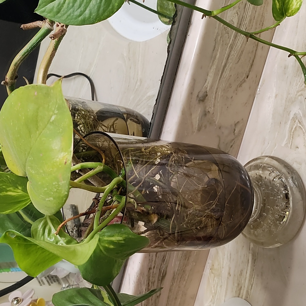 Smokey Glass Vase